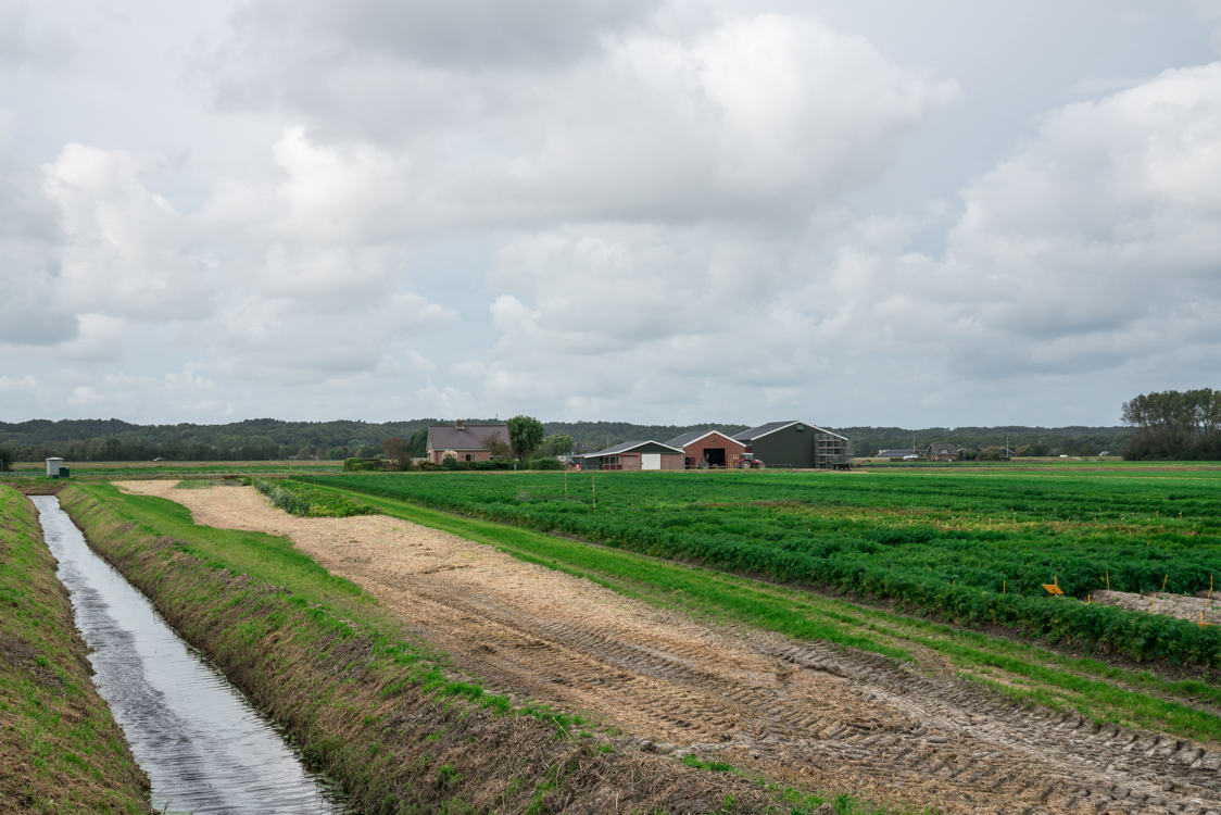 Wie Smart Farming die Effizienz Ihres Betriebes steigert