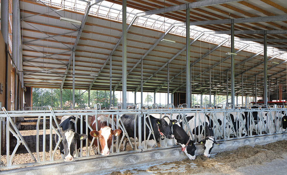Wie ein Dach das Wohlbefinden Ihrer Tiere steigern kann