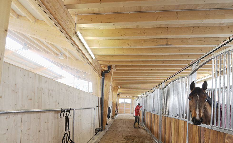 Wie ein Dach das Wohlbefinden Ihrer Tiere steigern kann