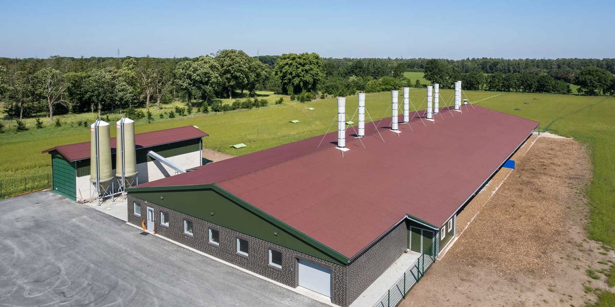 Legehennenstall Eternit Wellplatten