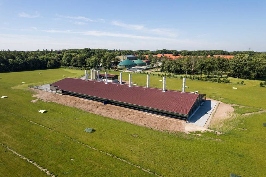 Legehennenstall Eternit Wellplatten