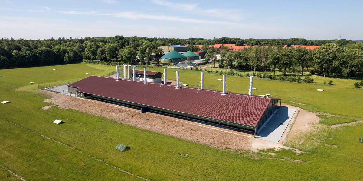 Legehennenstall Eternit Wellplatten