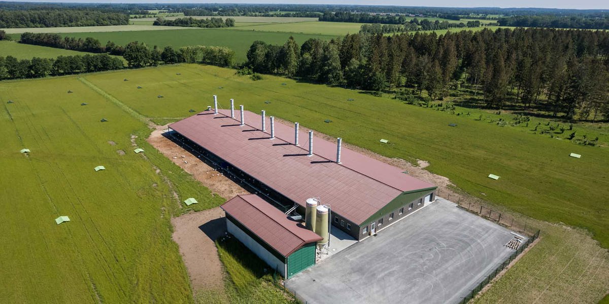 Legehennenstall Eternit Wellplatten
