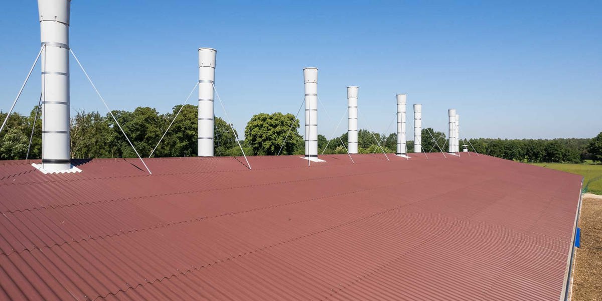 Legehennenstall Eternit Wellplatten