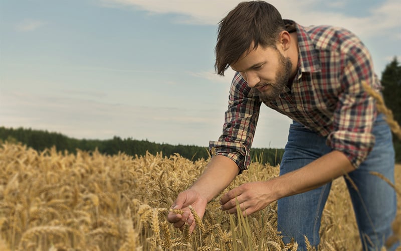 arable farmer